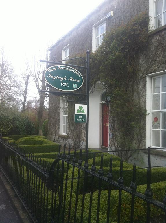 Bed and Breakfast Ivyleigh House à Laois Extérieur photo
